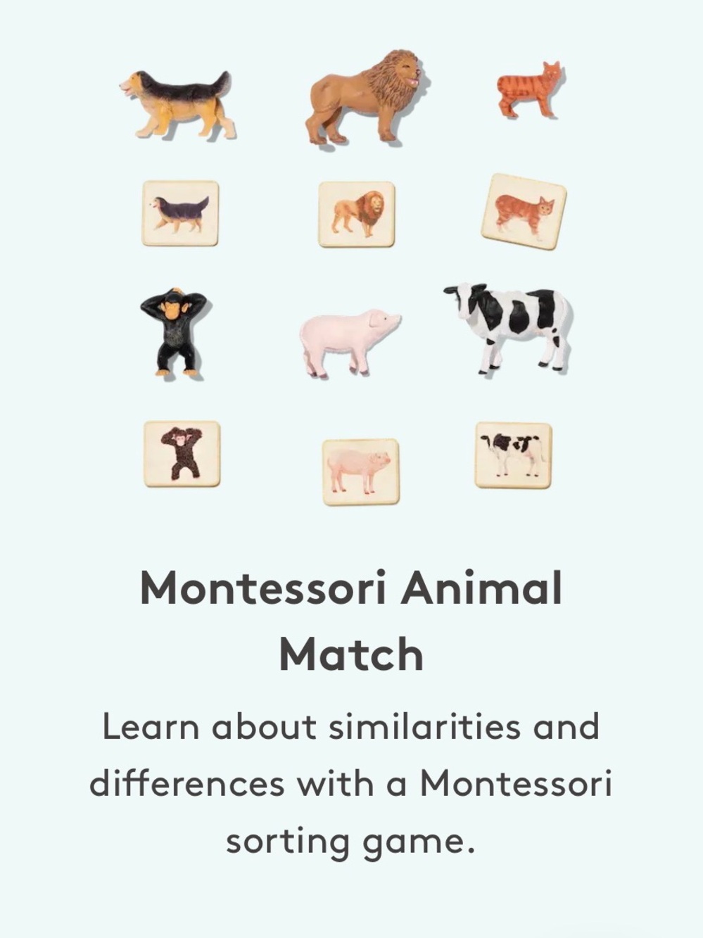 Lovevery Montessori Animal Match and Drawstring Bag- NO cards